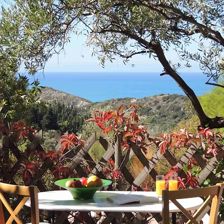 Sparto Áyios Nikítas